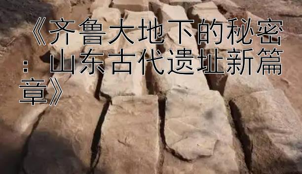 《齐鲁大地下的秘密：山东古代遗址新篇章》